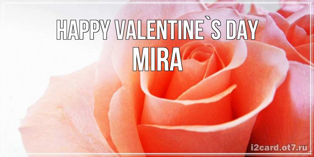 Greetings card с именем, Mira Happy Valentine`s Day открытка на день Святого Валентина с розовой розой Greetings with text for free download 